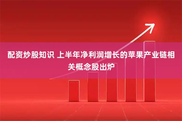 配资炒股知识 上半年净利润增长的苹果产业链相关概念股出炉