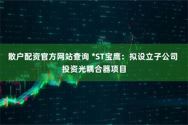 散户配资官方网站查询 *ST宝鹰：拟设立子公司 投资光耦合器项目
