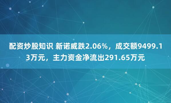 配资炒股知识 新诺威跌2.06%，成交额9499.13万元，主力资金净流出291.65万元