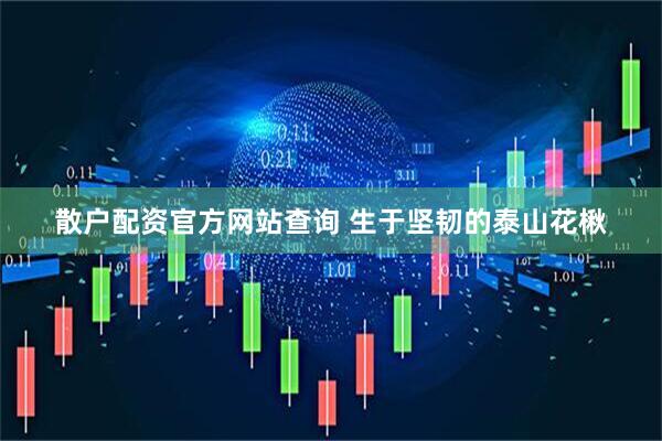 散户配资官方网站查询 生于坚韧的泰山花楸