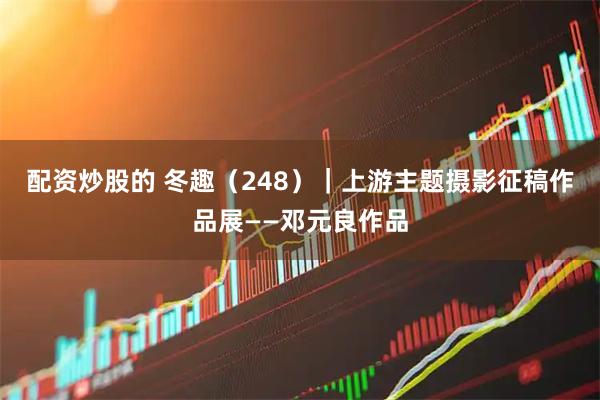 配资炒股的 冬趣（248）｜上游主题摄影征稿作品展——邓元良作品
