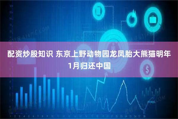 配资炒股知识 东京上野动物园龙凤胎大熊猫明年1月归还中国