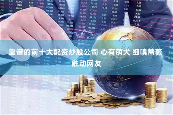 靠谱的前十大配资炒股公司 心有萌犬 细嗅蔷薇 触动网友
