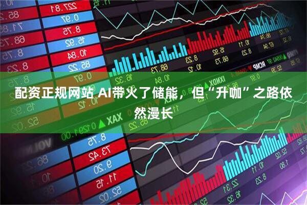 配资正规网站 AI带火了储能，但“升咖”之路依然漫长